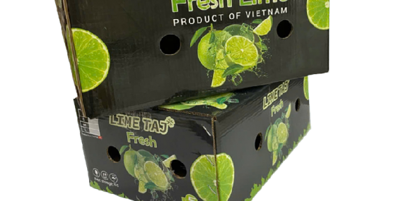 san-xuat-thung-carton-in-offset-tai-phuong-an-phu-dong-theo-yeu-cau-tien-hung-sai-gon