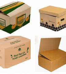 in-thung-carton-du-sire-theo-yeu-cau-xuong-in-thung-carton-tien-hung-sai-gon